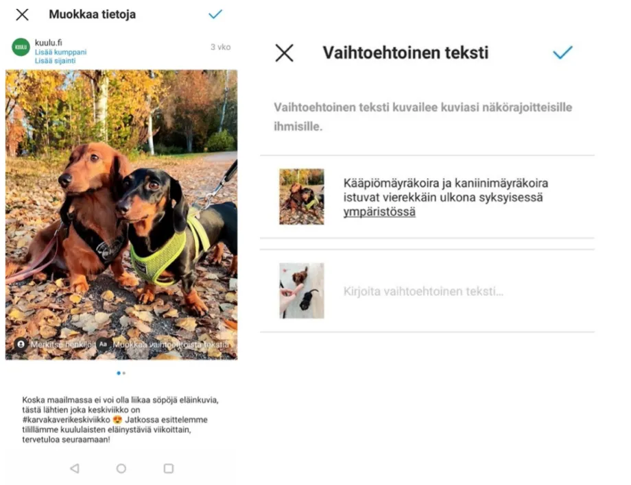 Instagramin vaihtoehtoisen tekstin kirjoittaminen