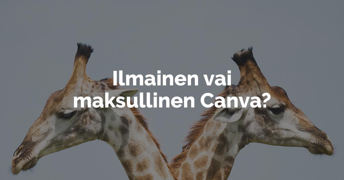 Canvan ilmainen ja maksullinen versio – näin ne eroavat toisistaan